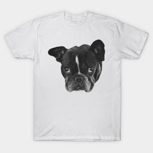 Boston Terrier Dog head T-Shirt